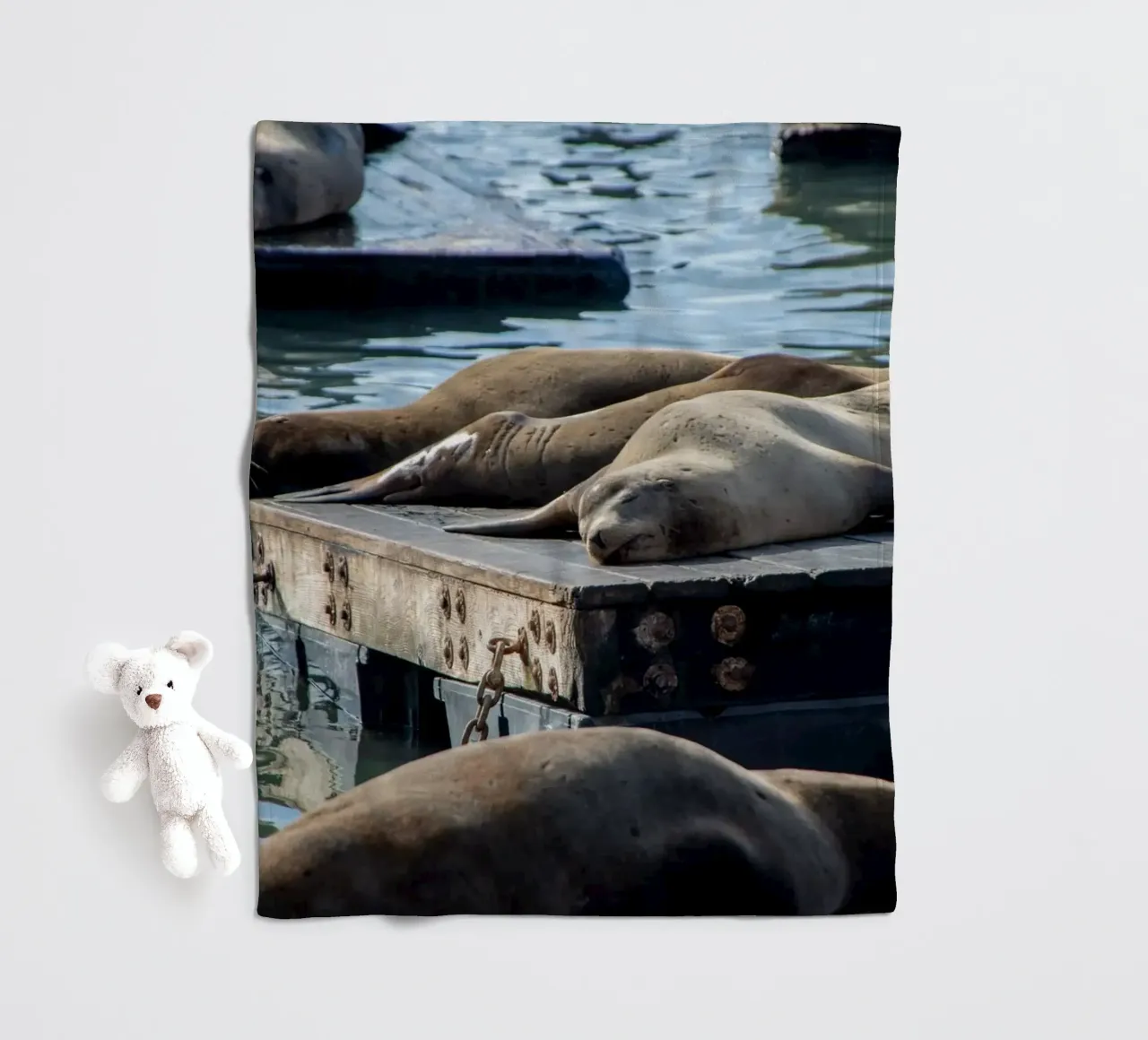 Sleeping seal coperta in pile da anderm
