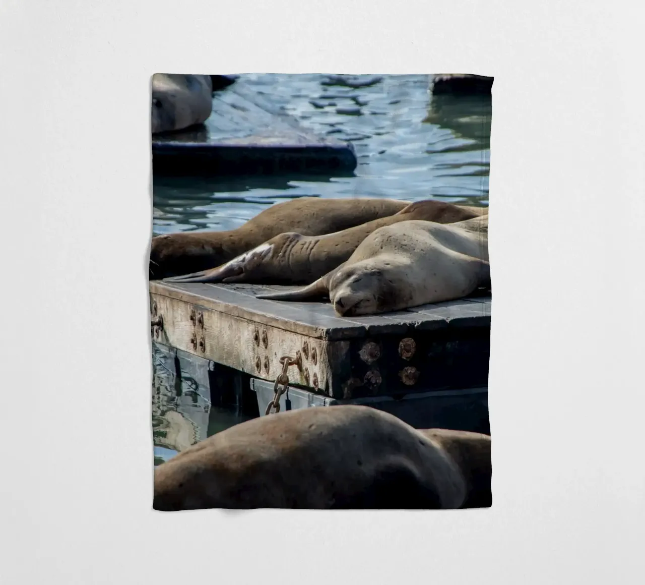 Sleeping seal coperta in pile da anderm