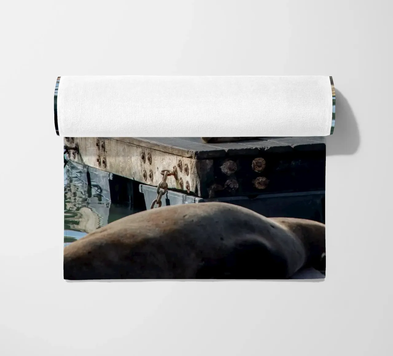 Sleeping seal telo mare da anderm