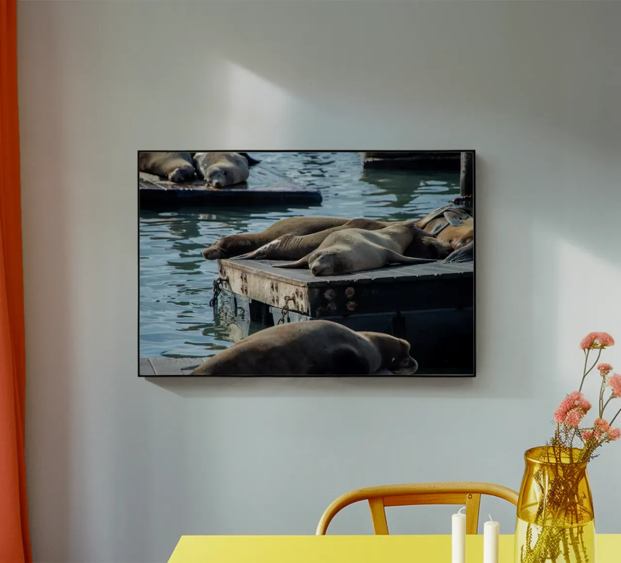 Sleeping seal plexiglass da anderm