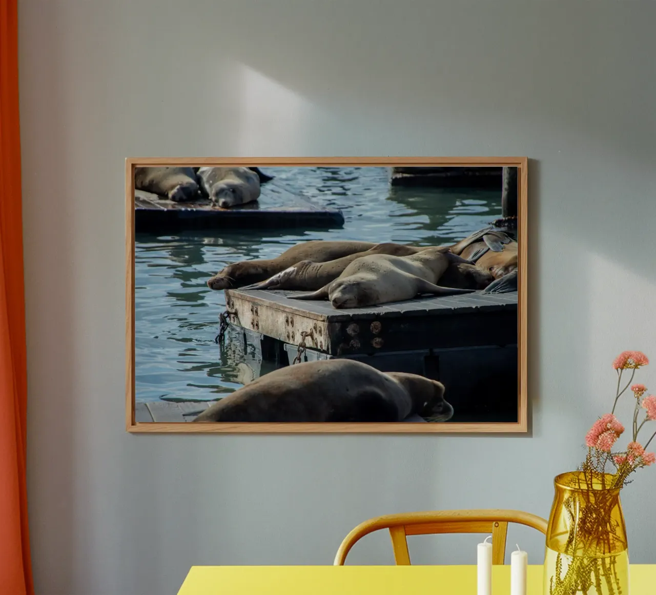 Sleeping seal alluminio dibond da anderm