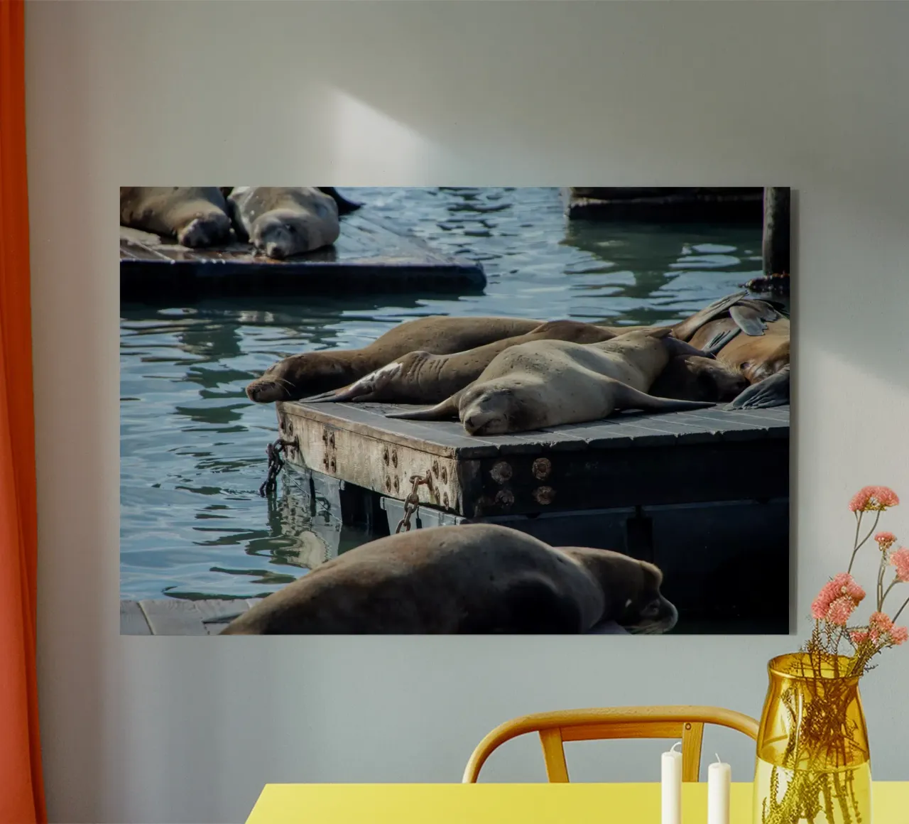 Sleeping seal alluminio dibond da anderm