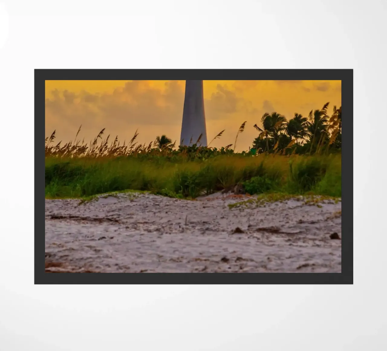 Cape Florida Lighthouse zerbino da anderm