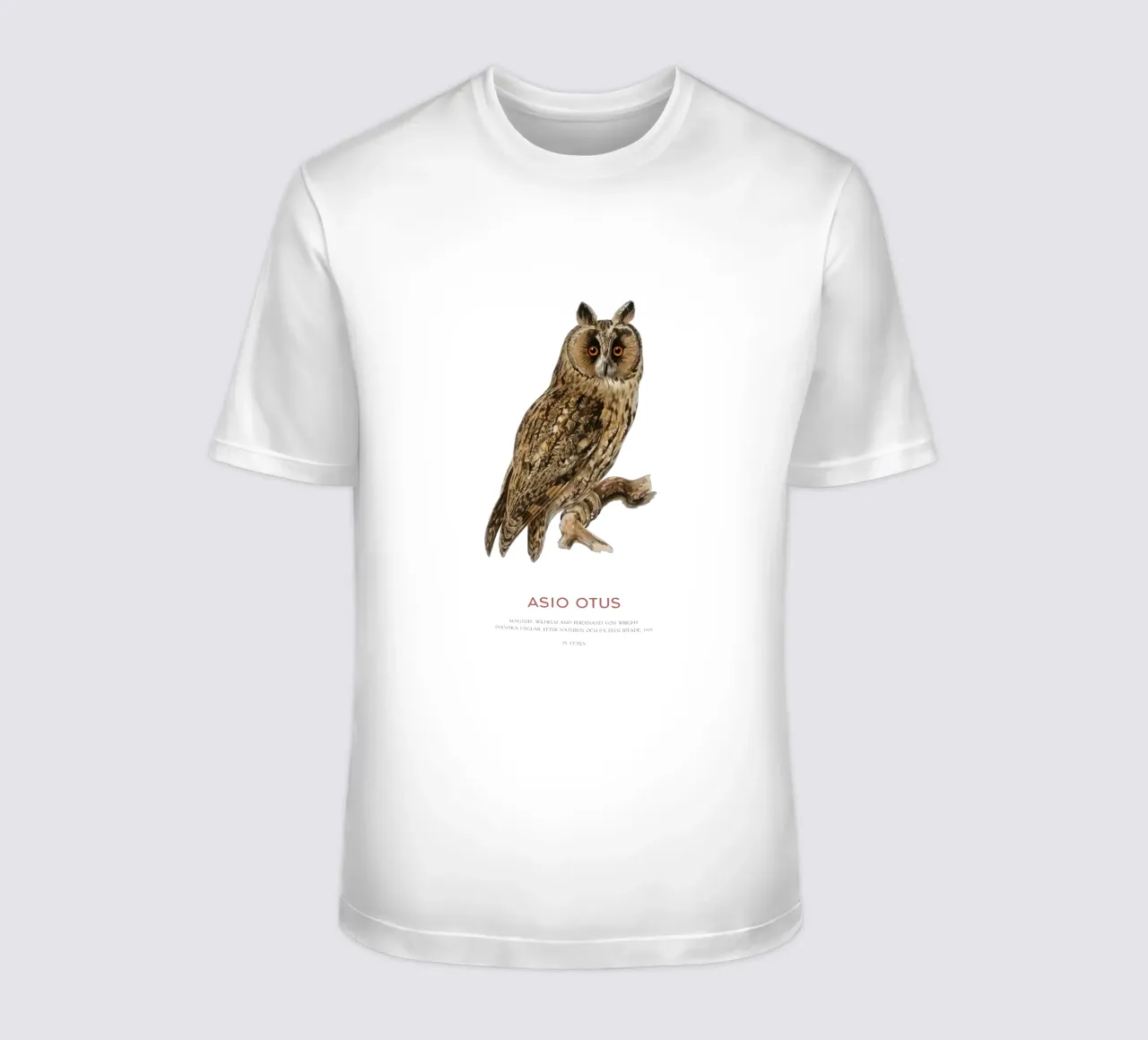 Gufo dalle orecchie lunghe o Asio Otus t-shirt da Vintagrafica