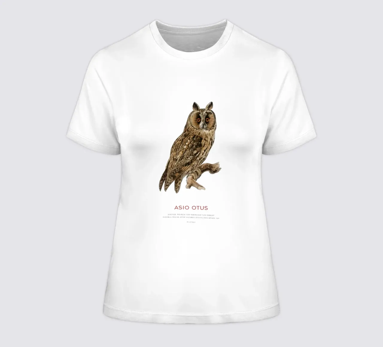 Waldohreule oder Asio Otus Frauen T-Shirt von Vintagrafica