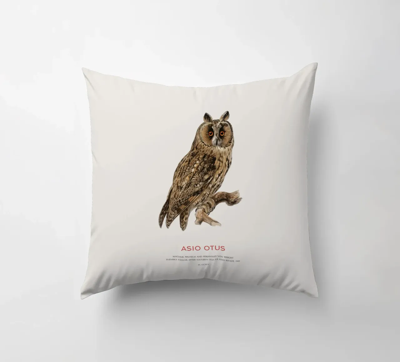 Gufo dalle orecchie lunghe o Asio Otus cuscino da Vintagrafica
