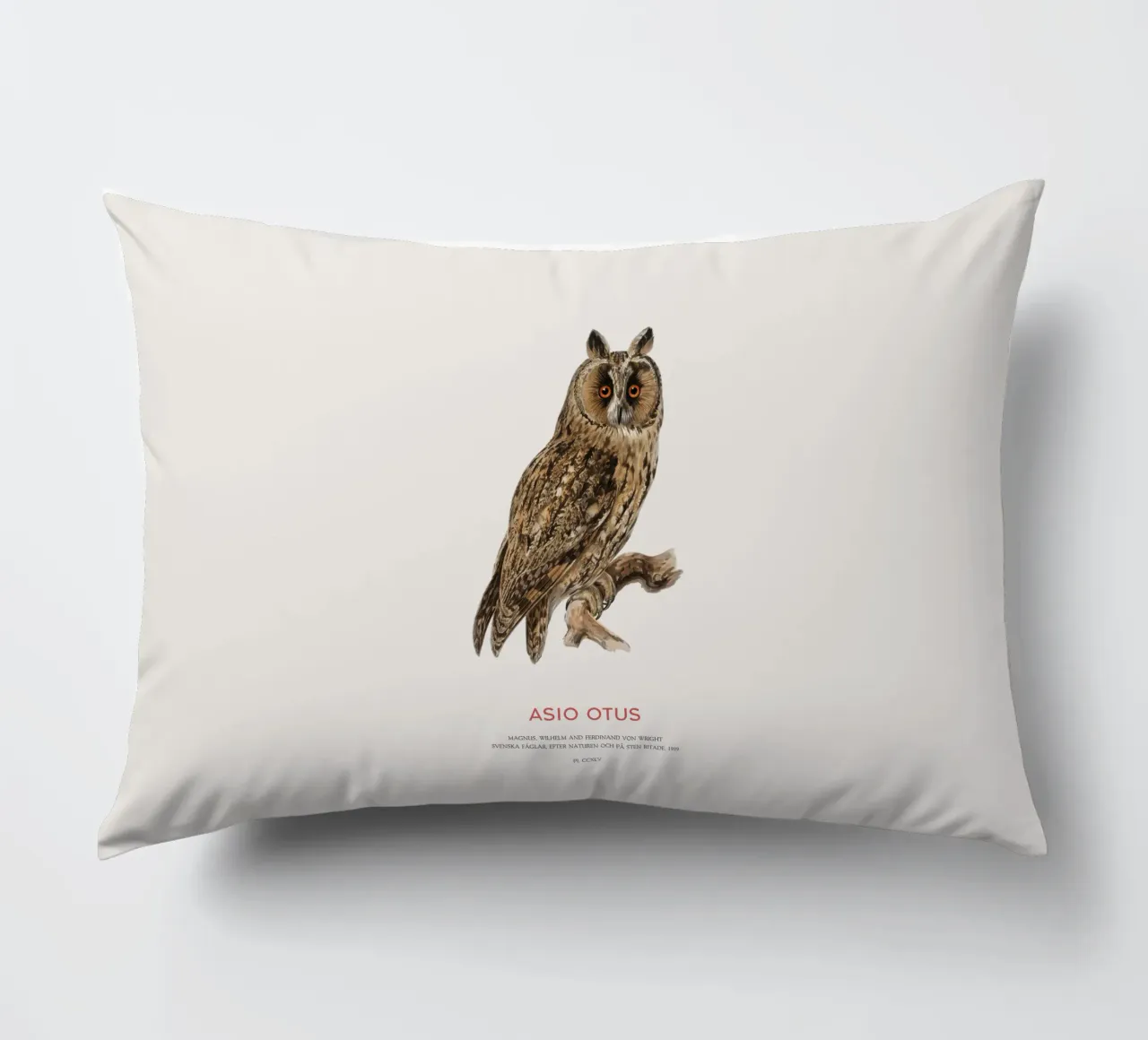 Gufo dalle orecchie lunghe o Asio Otus cuscino da Vintagrafica