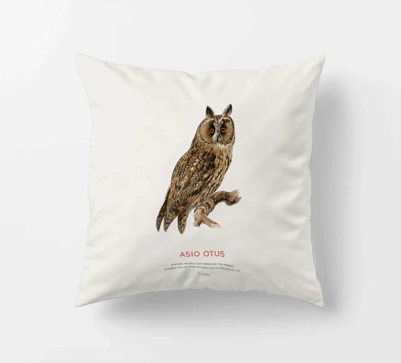 Gufo dalle orecchie lunghe o Asio Otus cuscino da Vintagrafica