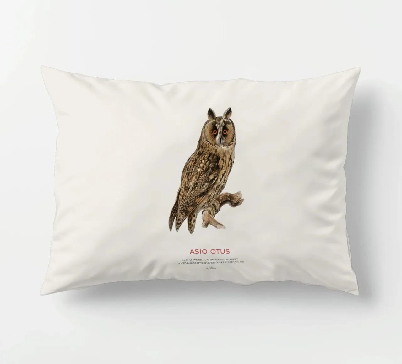 Gufo dalle orecchie lunghe o Asio Otus cuscino da Vintagrafica