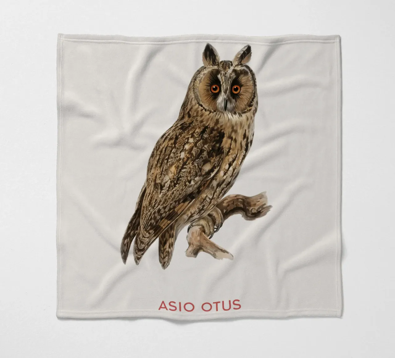 Gufo dalle orecchie lunghe o Asio Otus coperta in pile da Vintagrafica