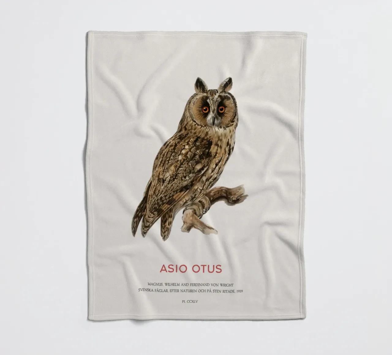 Gufo dalle orecchie lunghe o Asio Otus coperta in pile da Vintagrafica