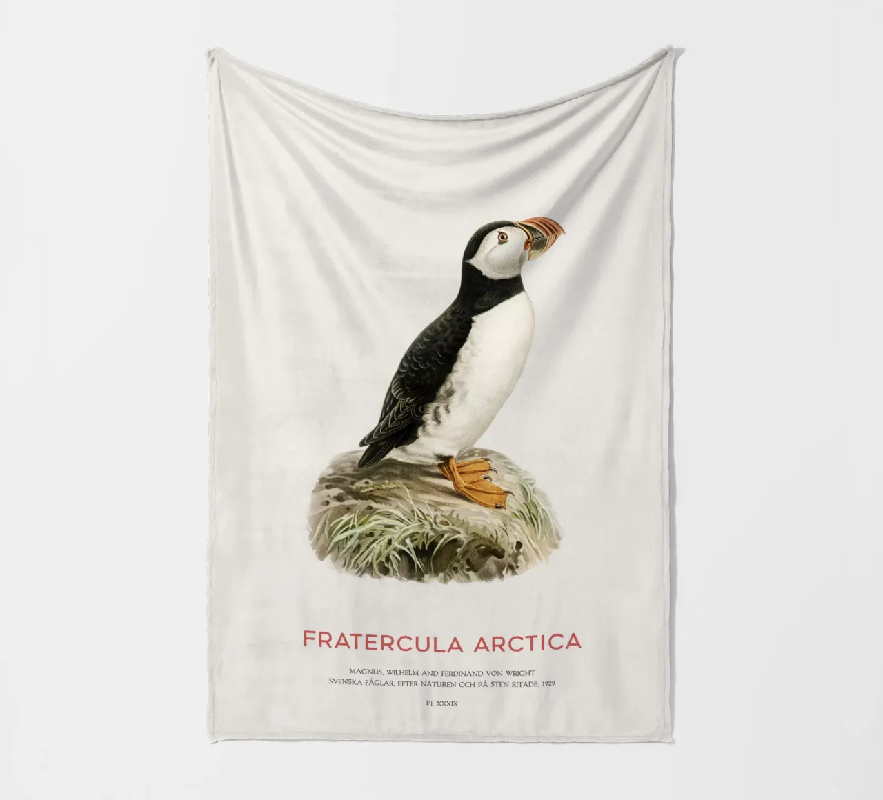 Atlantic puffin - Fratercula Arctica fleece blanket by Vintagrafica