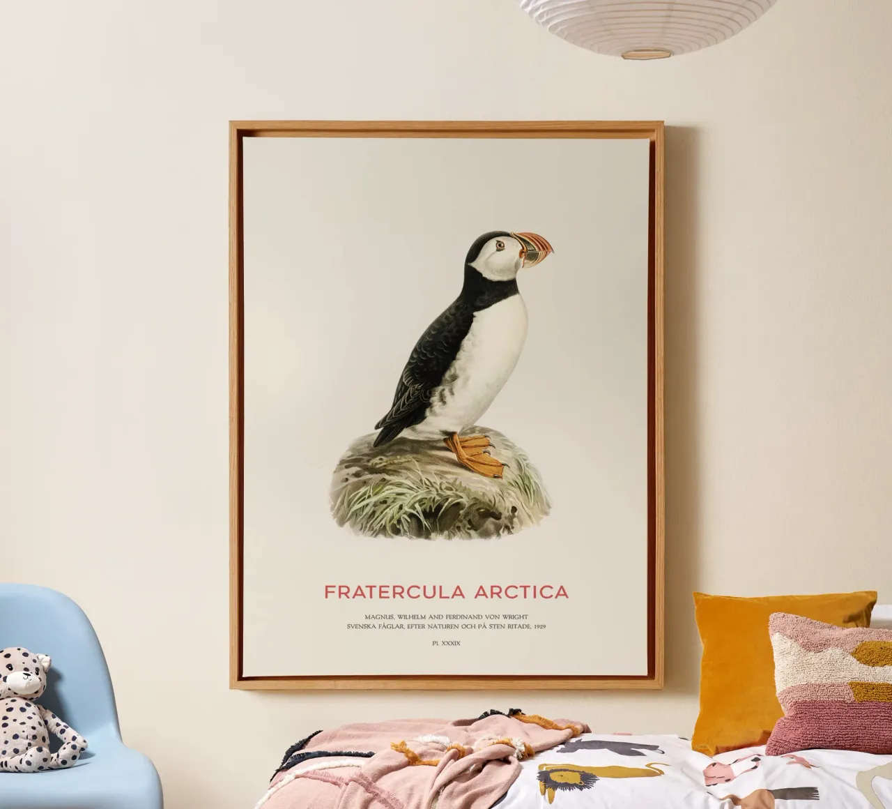 Papegaaiduiker - Fratercula Arctica canvas met Baklijst van Vintagrafica