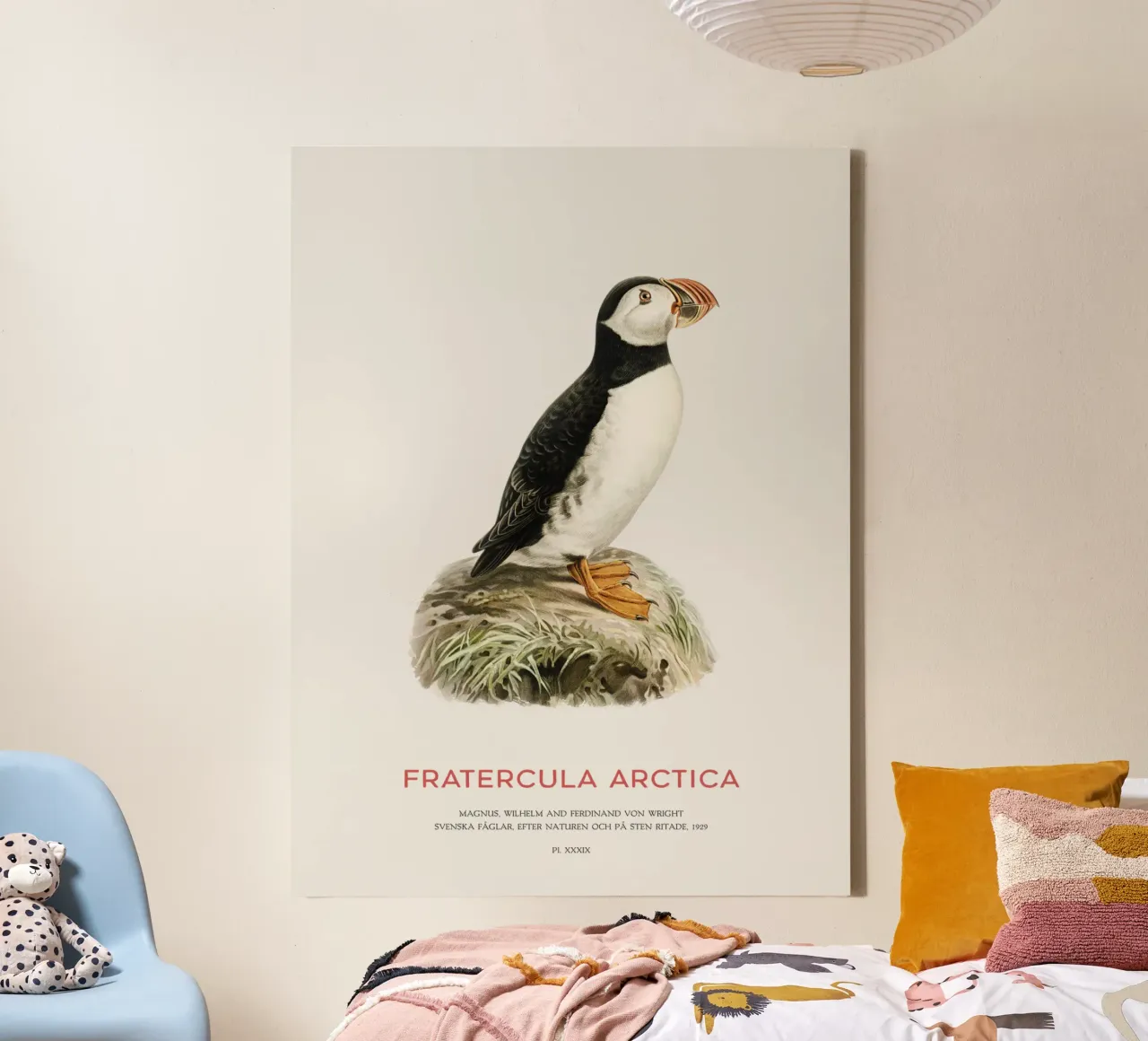 Papegaaiduiker - Fratercula Arctica canvas met Baklijst van Vintagrafica