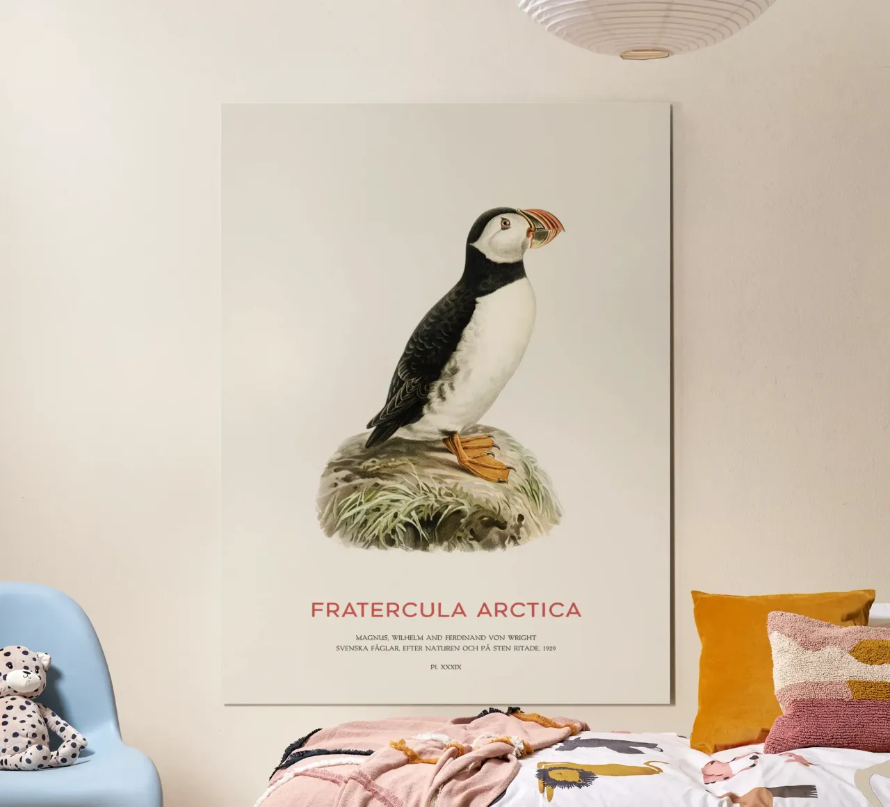 Pulcinella di mare atlantica - Fratercula Arctica poster con telaio in legno da Vintagrafica