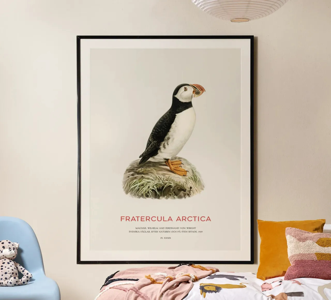 Pulcinella di mare atlantica - Fratercula Arctica poster con telaio in legno da Vintagrafica