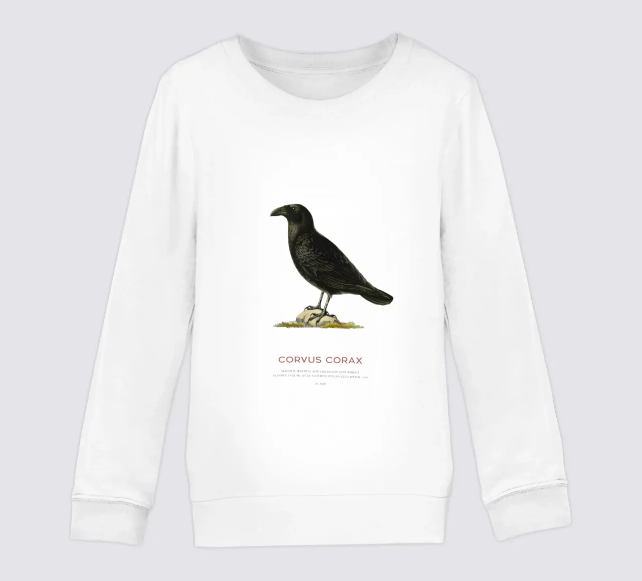 Corvo comune - Corvus Corax felpa bambino da Vintagrafica