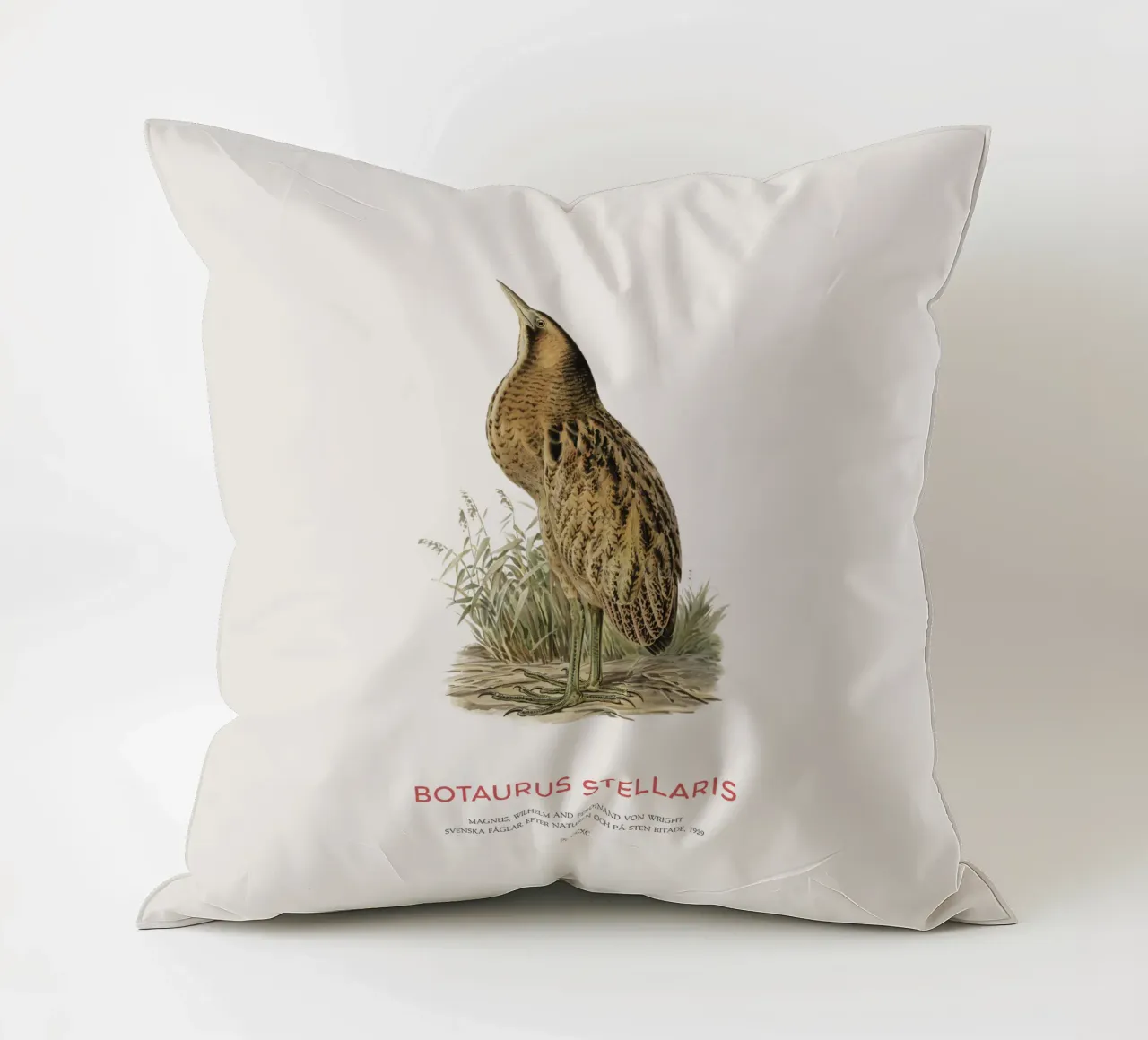 Tarabusino o Botaurus Stellaris cuscino da Vintagrafica