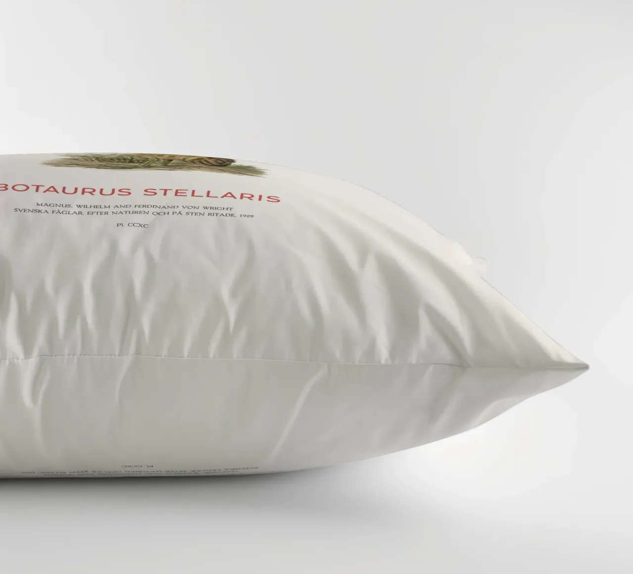 Tarabusino o Botaurus Stellaris cuscino da Vintagrafica