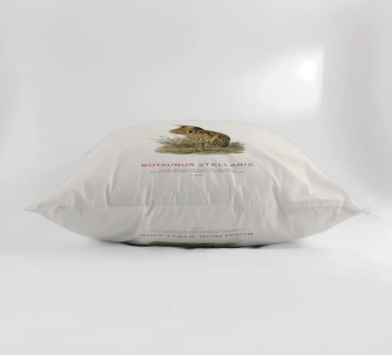 Tarabusino o Botaurus Stellaris cuscino da Vintagrafica