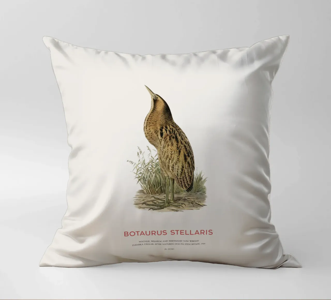 Tarabusino o Botaurus Stellaris cuscino da Vintagrafica