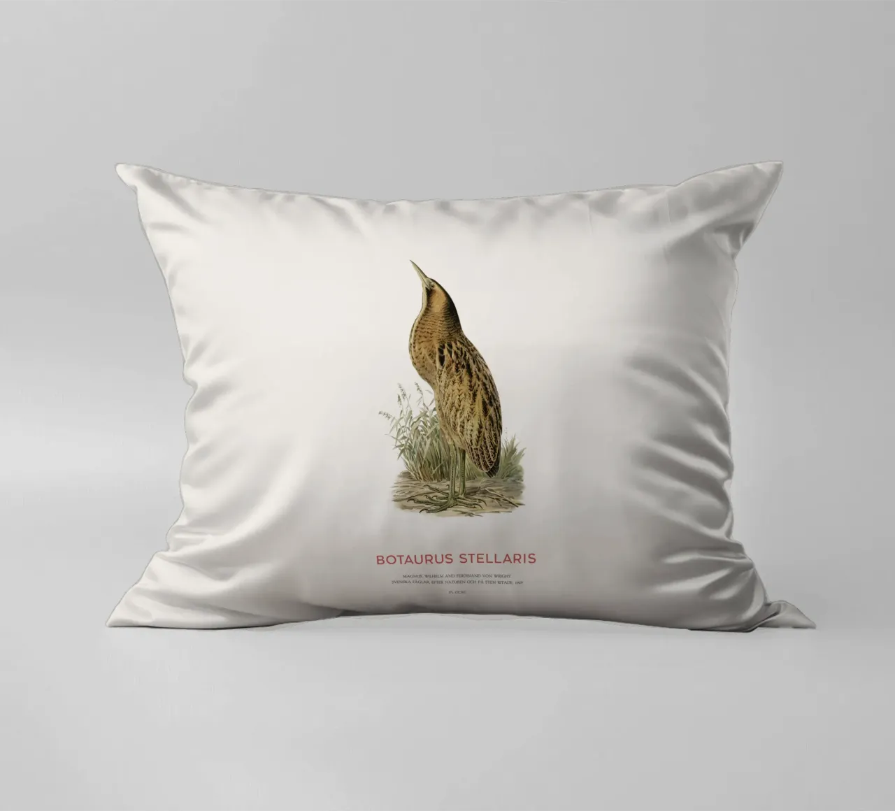 Tarabusino o Botaurus Stellaris cuscino da Vintagrafica
