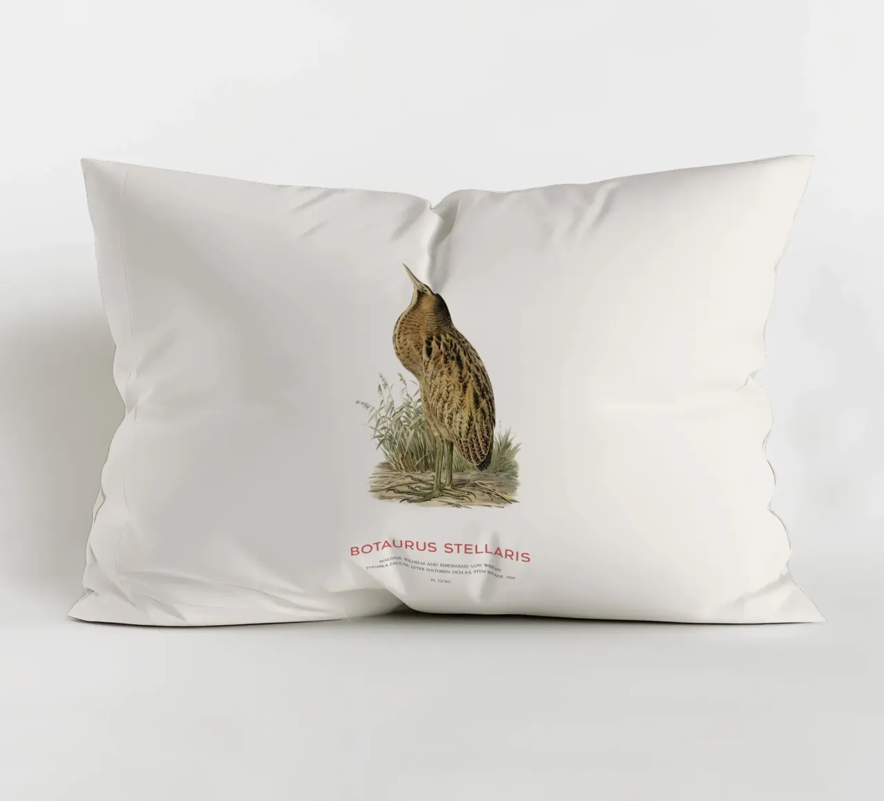 Tarabusino o Botaurus Stellaris cuscino da Vintagrafica
