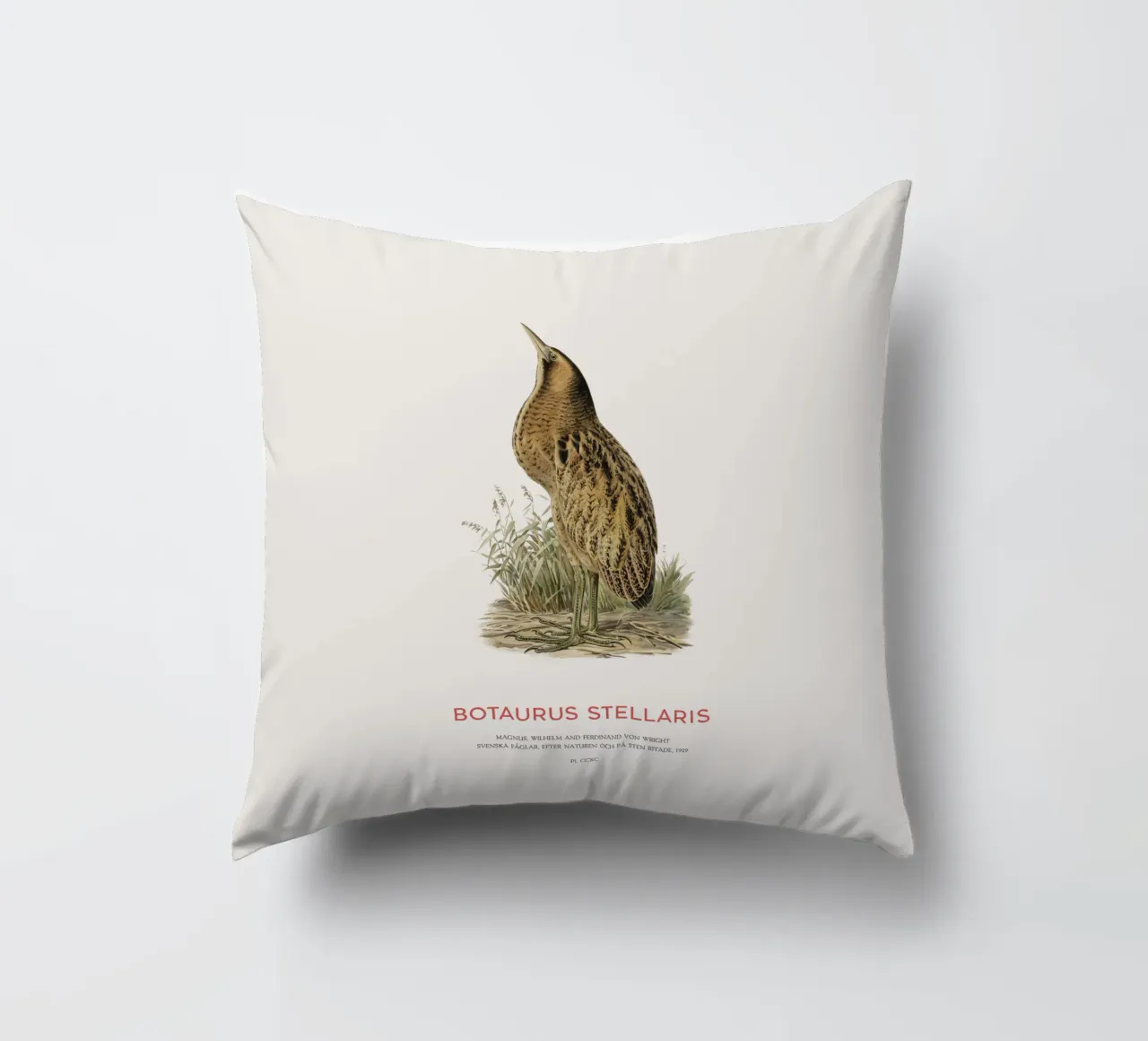 Tarabusino o Botaurus Stellaris cuscino da Vintagrafica