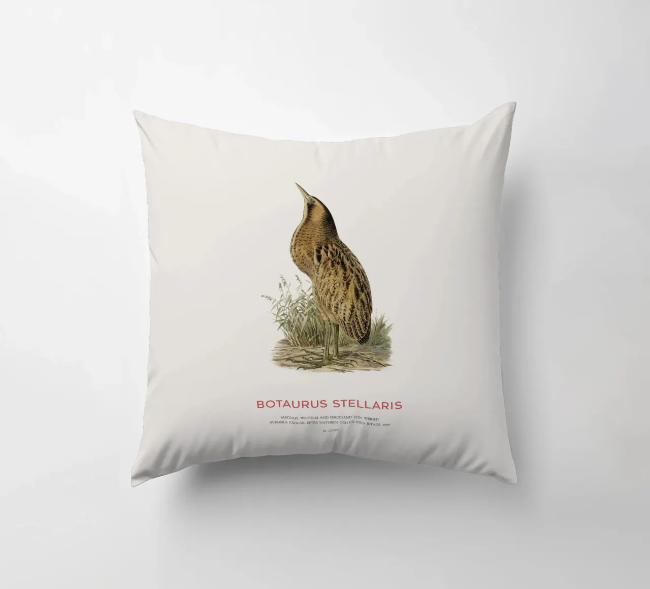 Tarabusino o Botaurus Stellaris cuscino da Vintagrafica
