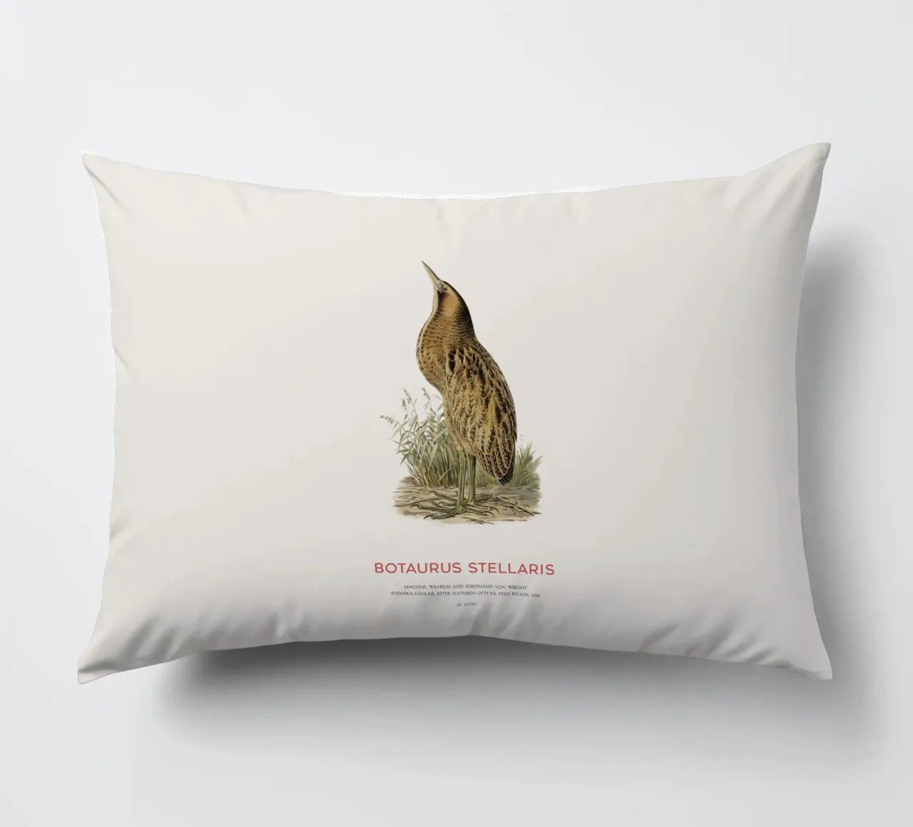 Tarabusino o Botaurus Stellaris cuscino da Vintagrafica