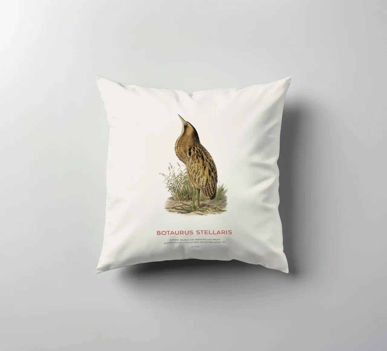 Tarabusino o Botaurus Stellaris cuscino da Vintagrafica
