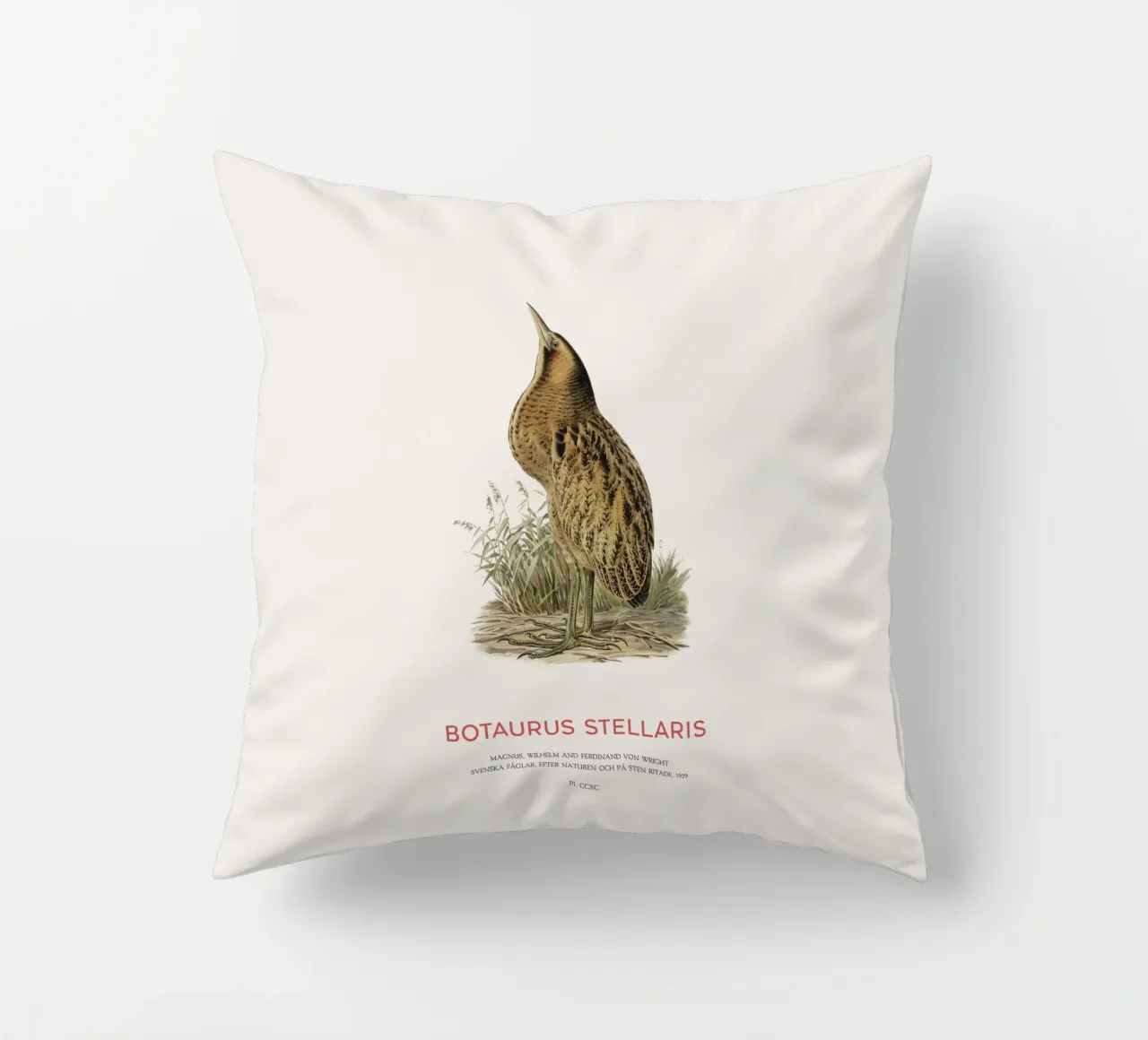 Tarabusino o Botaurus Stellaris cuscino da Vintagrafica
