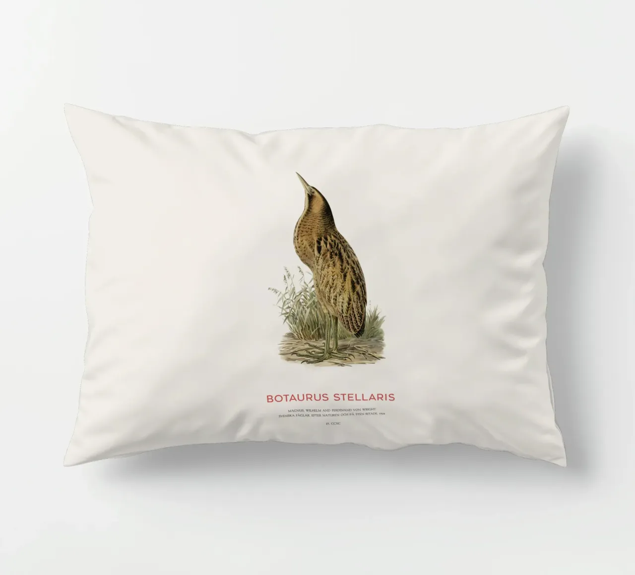 Tarabusino o Botaurus Stellaris cuscino da Vintagrafica