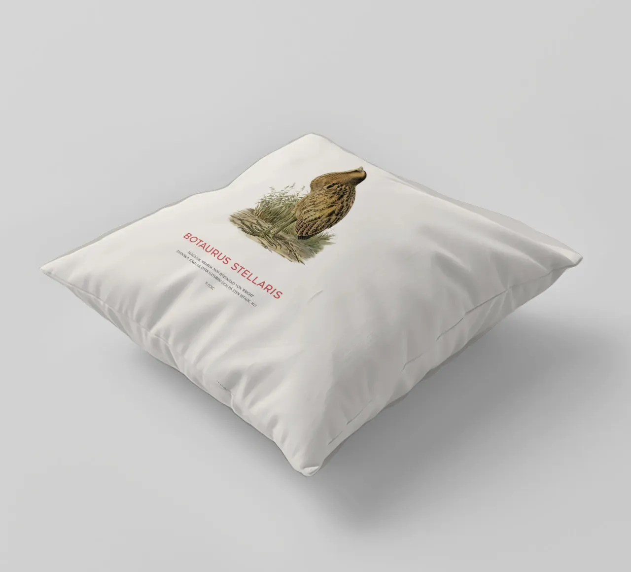 Tarabusino o Botaurus Stellaris cuscino da Vintagrafica