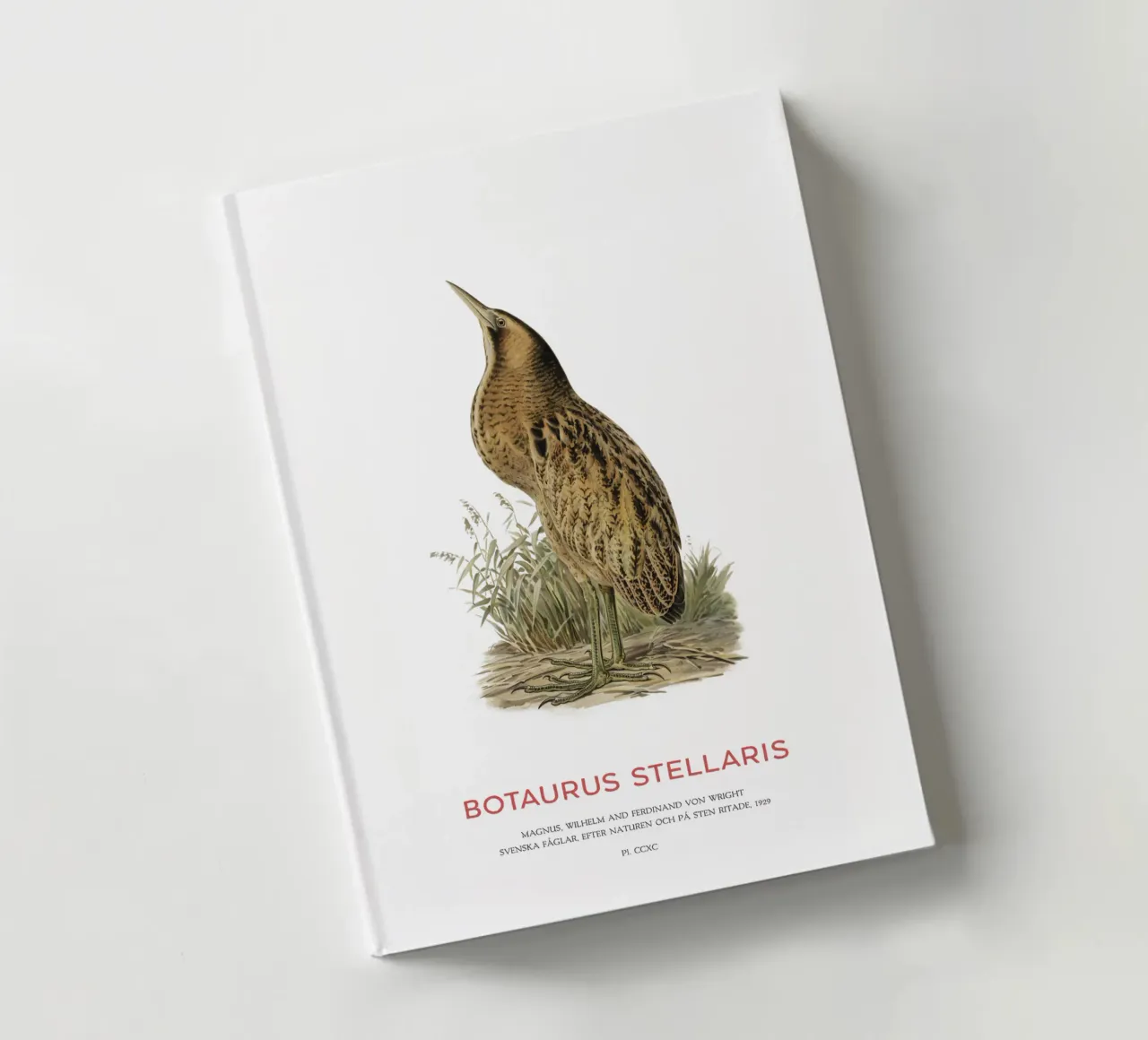 Great bittern or Botaurus Stellaris notebook by Vintagrafica