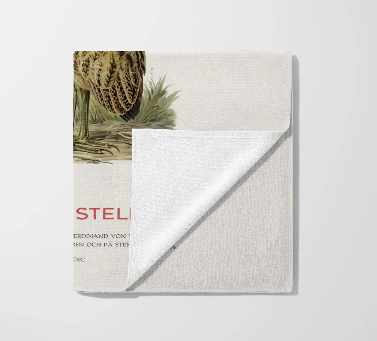 Tarabusino o Botaurus Stellaris telo mare da Vintagrafica