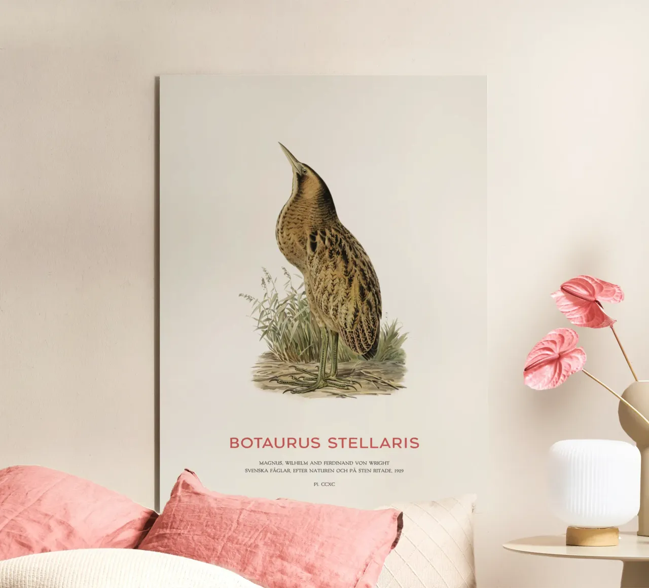 Tarabusino o Botaurus Stellaris alluminio dibond da Vintagrafica
