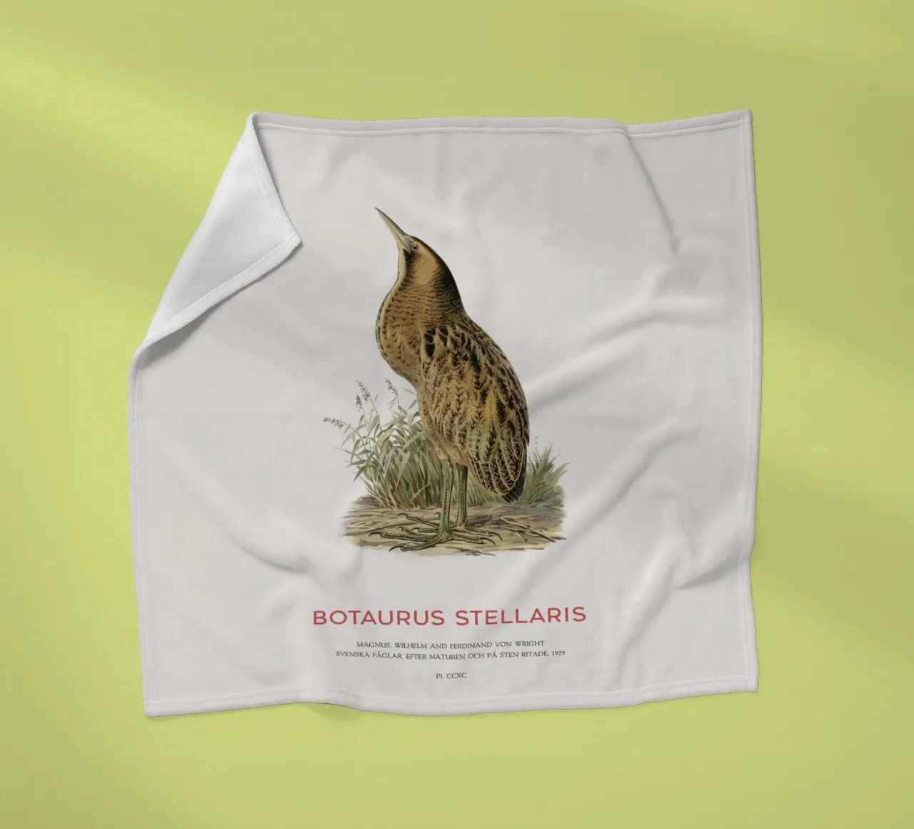 Tarabusino o Botaurus Stellaris coperta in pile da Vintagrafica