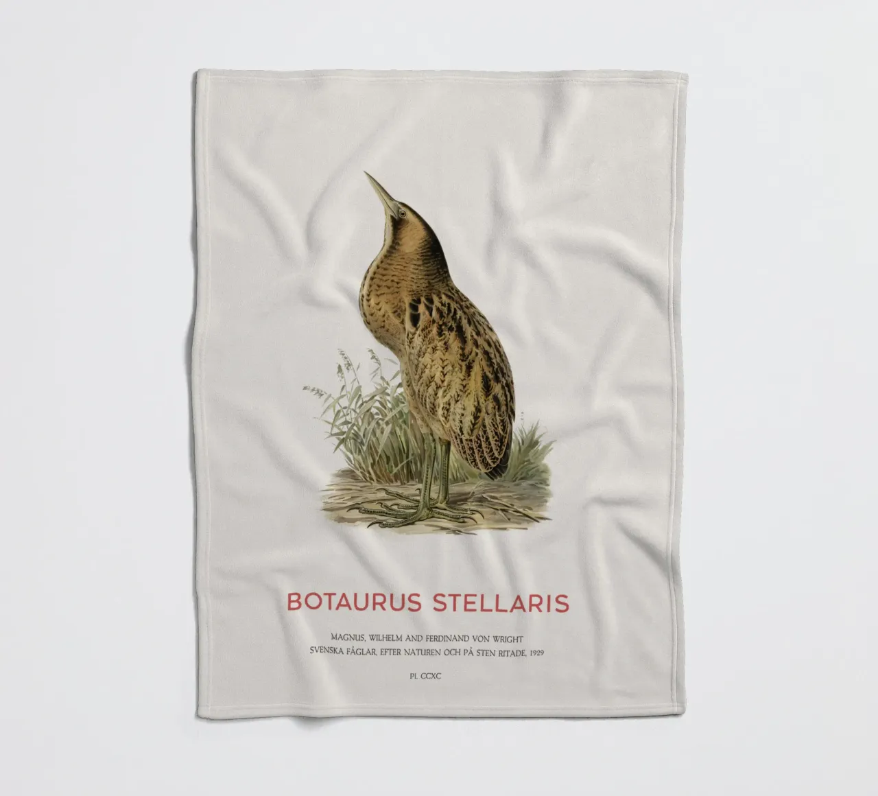 Tarabusino o Botaurus Stellaris coperta in pile da Vintagrafica