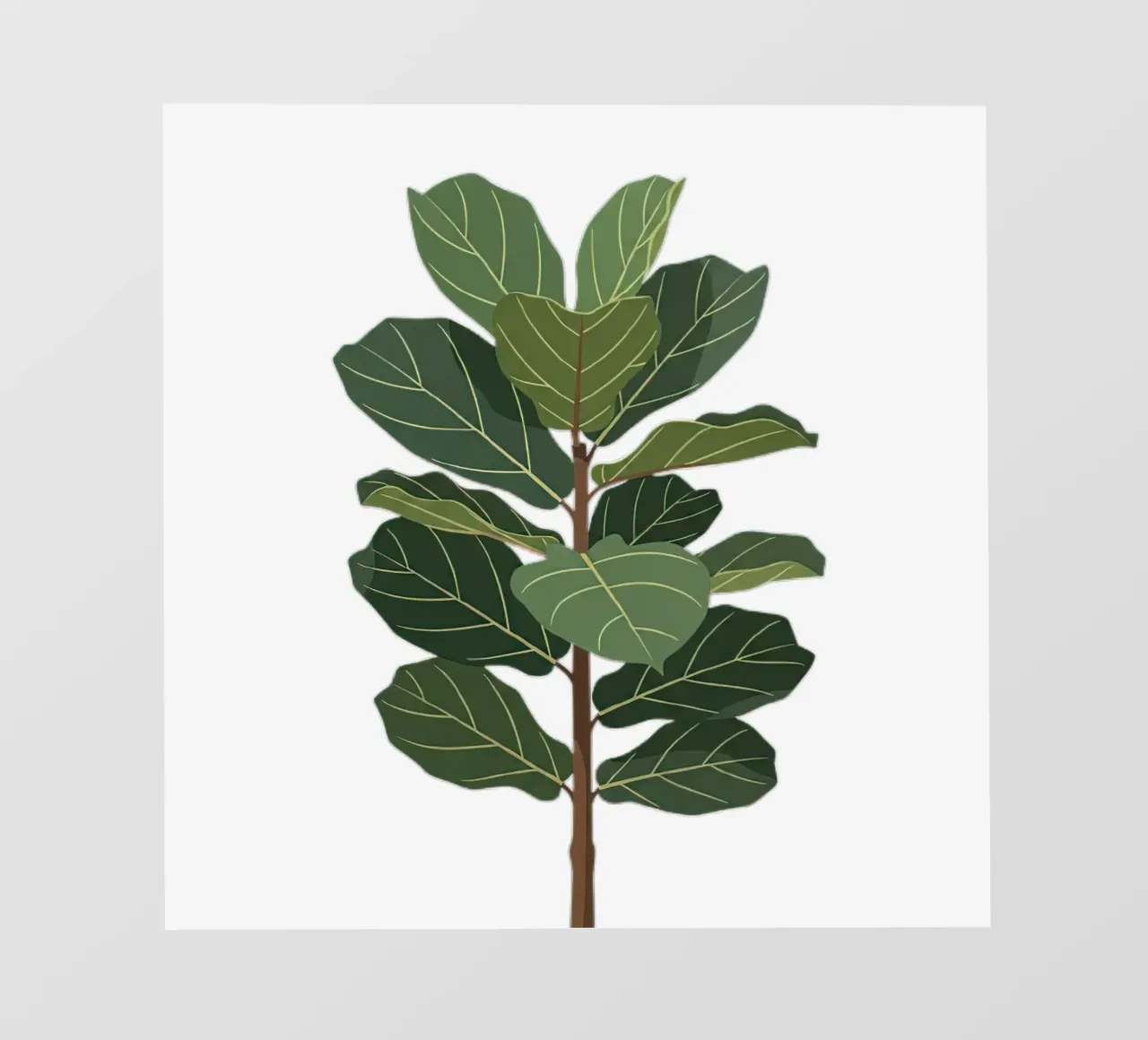 Fiddle Leaf Fig Tree pellicola backlit da Minimalist vector art