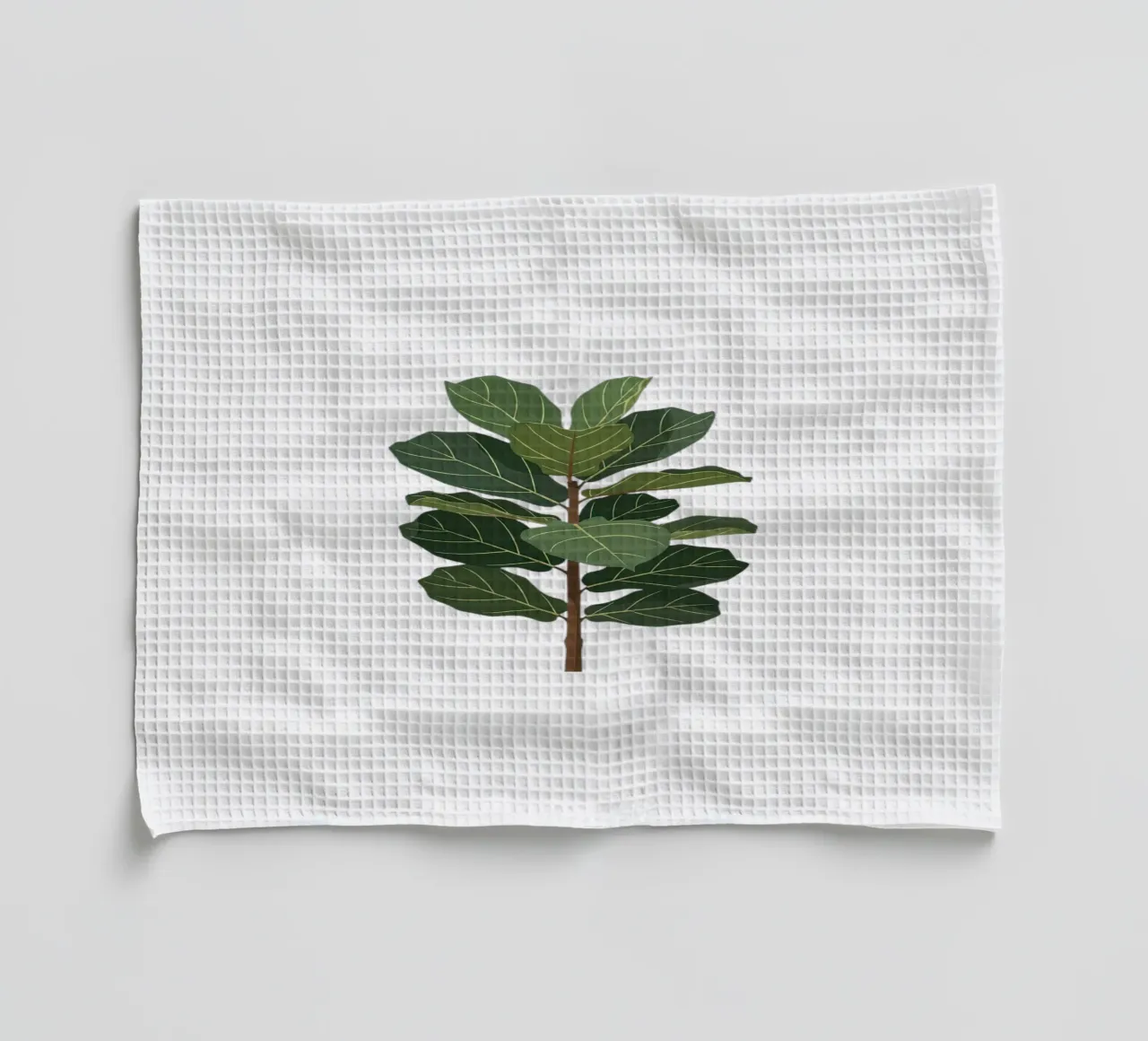 Fiddle Leaf Fig Tree torchon de Minimalist vector art