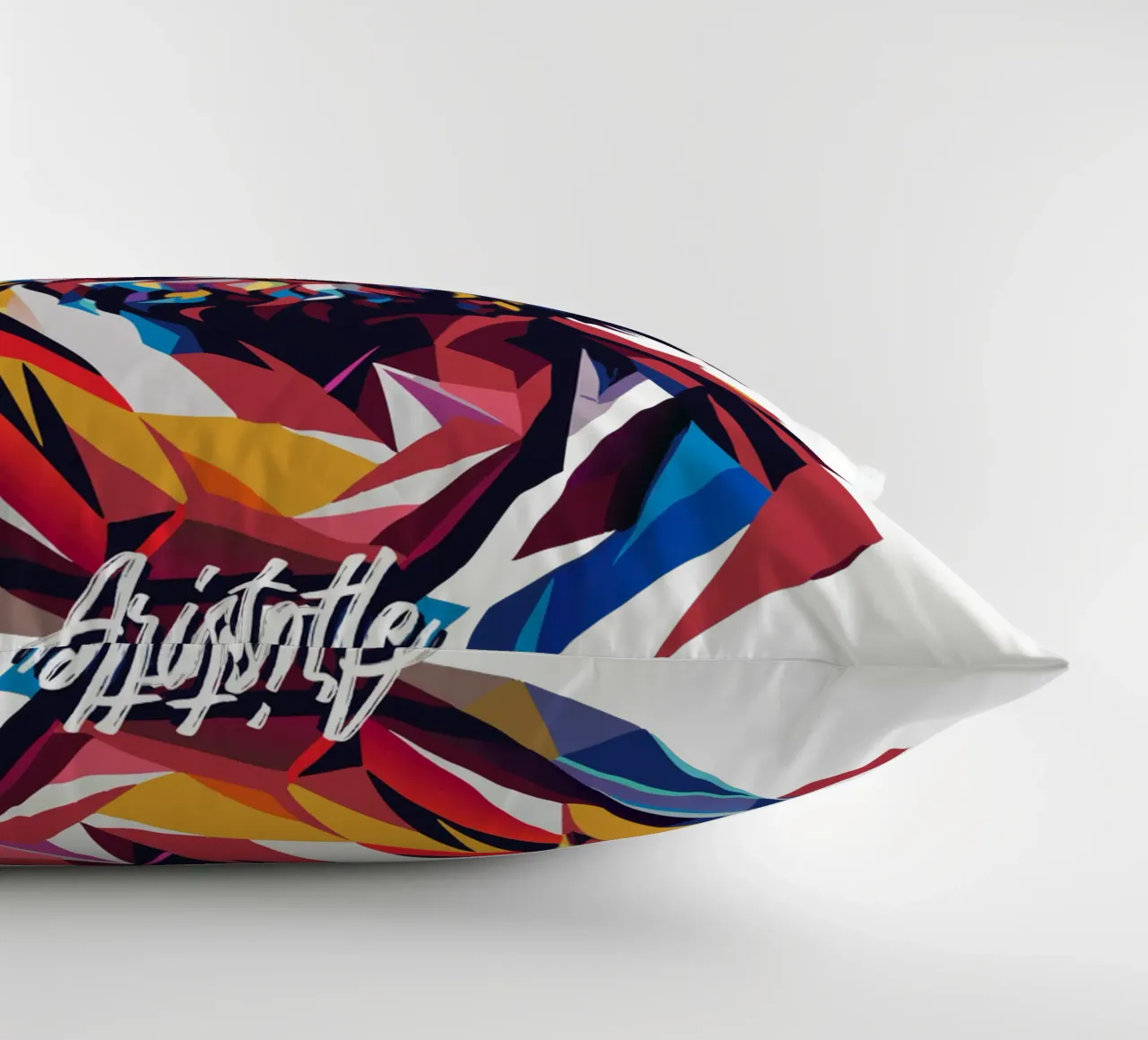 Aristotle WPAP Pop ARt cuscino da vectorartnesia