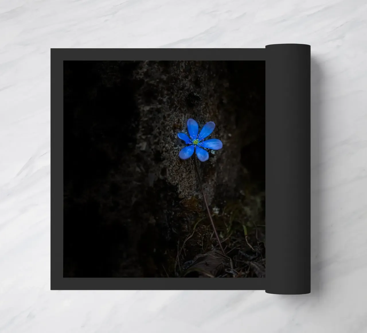 Fiore blu zerbino da Rainer Lüdecke – Wall Art