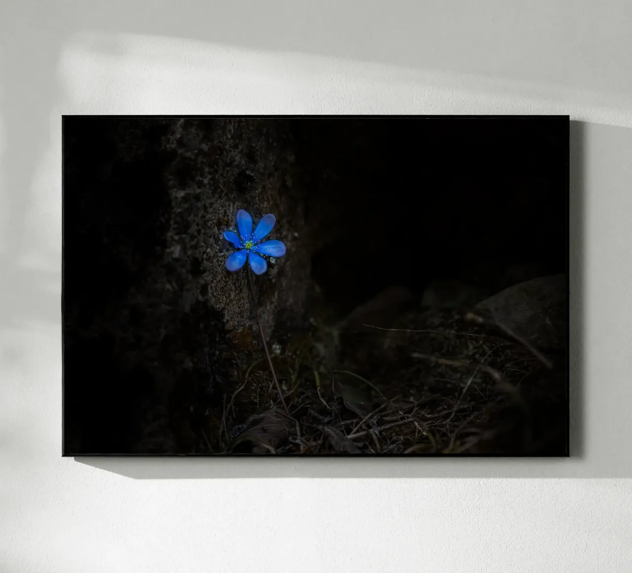 Fiore blu plexiglass da Rainer Lüdecke – Wall Art