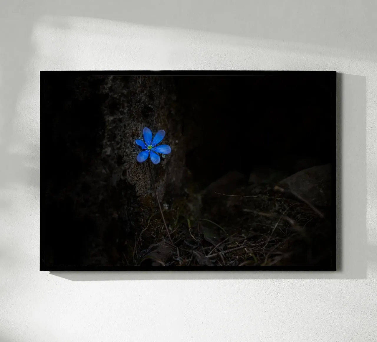 Fiore blu poster da Rainer Lüdecke – Wall Art