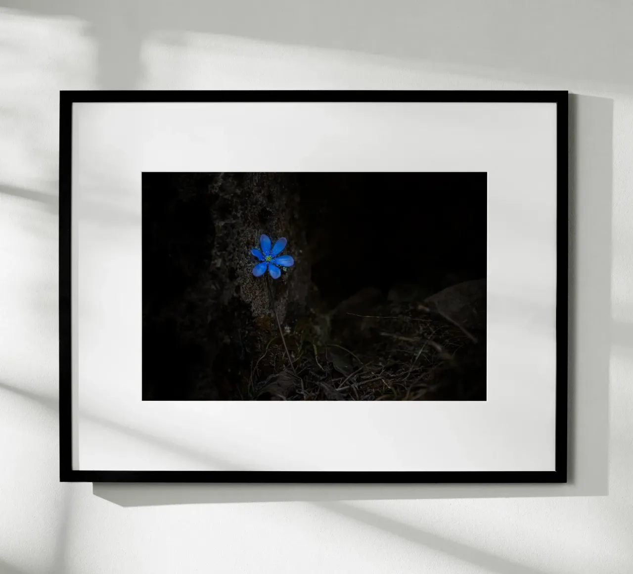 Fiore blu poster da Rainer Lüdecke – Wall Art