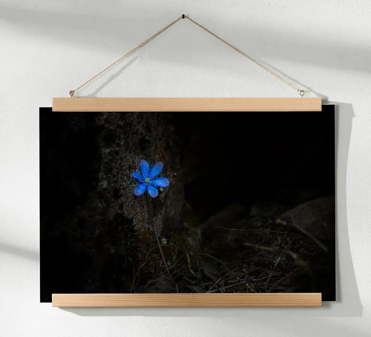 Fiore blu poster da Rainer Lüdecke – Wall Art