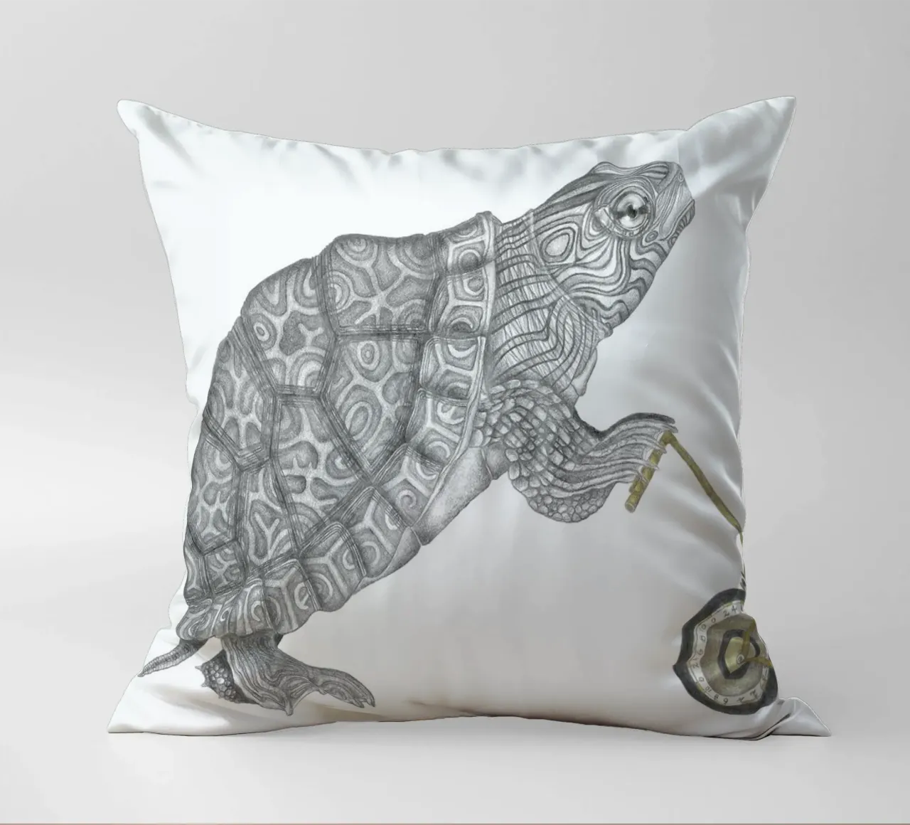 Muldoon Parker Common Map Turtle cuscino da Le Canot Rouge