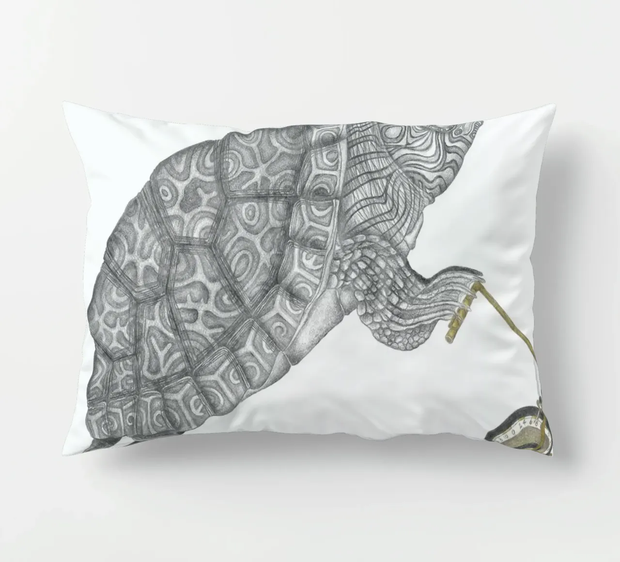 Muldoon Parker Common Map Turtle cuscino da Le Canot Rouge