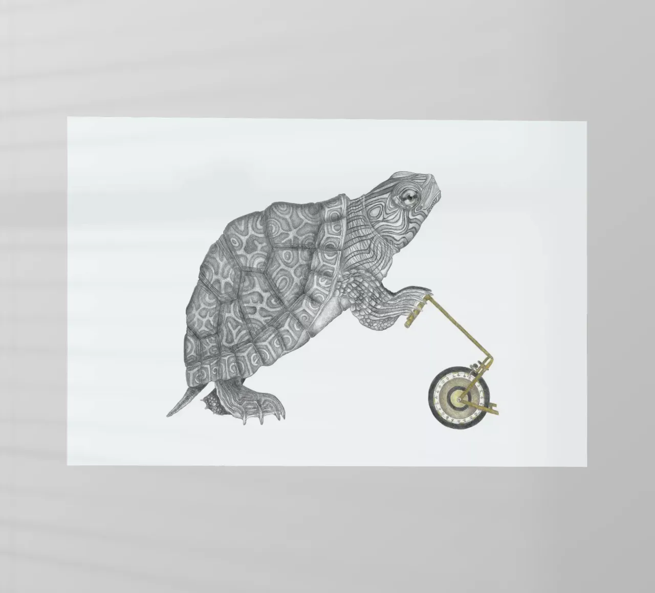 Muldoon Parker Common Map Turtle pellicola backlit da Le Canot Rouge